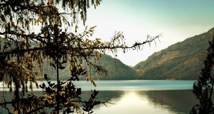 Rara Lake Tour - Trek Mania Nepal  1