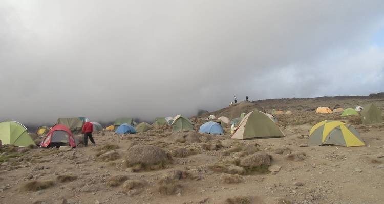 Kilimanjaro Climbing Via Lemosho Route 7 days + 1 day Hotel Stay - theKili-Guides 6