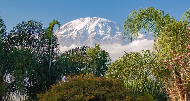 Kilimanjaro Climbing Via Lemosho Route 7 days + 1 day Hotel Stay - theKili-Guides 8