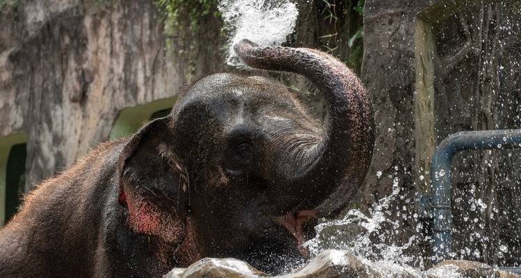 Best Kerala Tour Package – Private 7 Days of Backwaters, Houseboats, Munnar Hills, Ayurvedic Spa & Beaches - SafeHands Travels 7