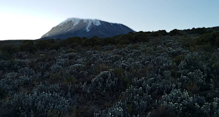 Trekking de 6 jours au Kilimandjaro par la route de Rongai - Spirit of Kilimanjaro 9