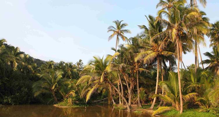 7 jours Cartagena et Santa Marta, confort : Circuit en groupe partagé pour les plus de 50 ans - BnB Colombia Tours 10