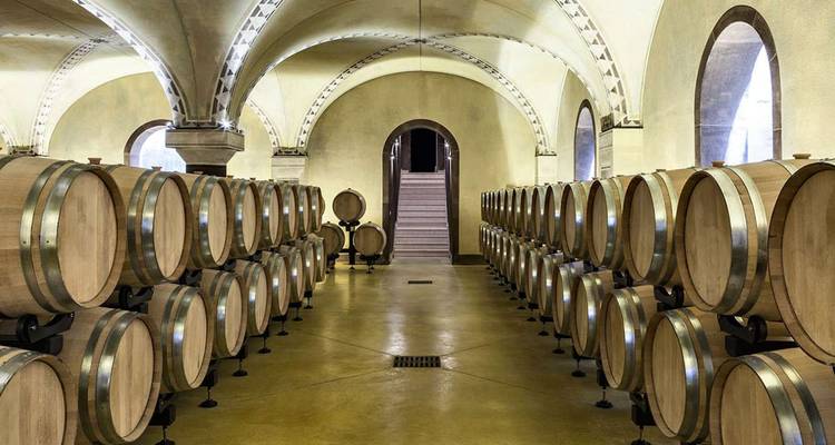 Cave remplie de tonneaux de vin.