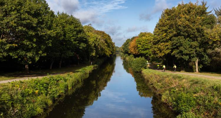 Boomrijke gracht die de blauwe lucht weerspiegelt met twee joggers in felgekleurde shirts die ernaast rennen.