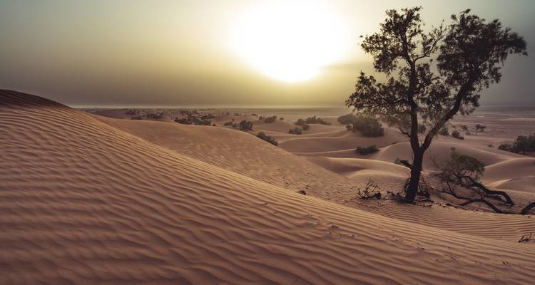 Aventura en el sur de Marruecos - 15 días - Trek Desert Maroc  5