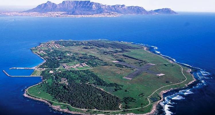 Lo más destacado de Ciudad del Cabo - Local Safaris 1