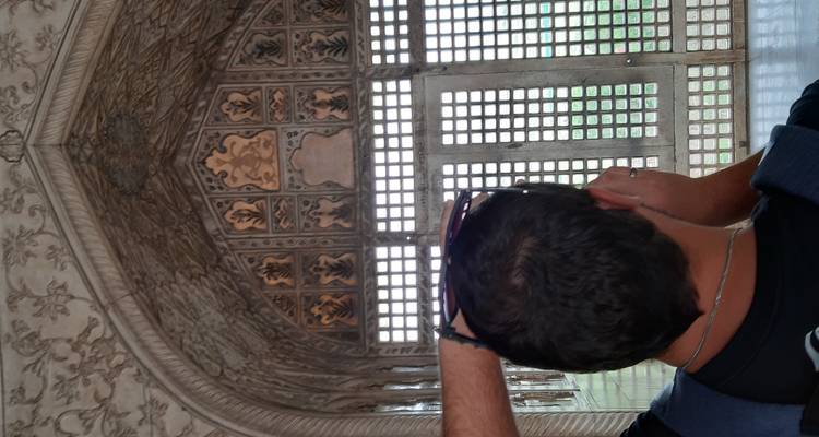 India Taj mahal, safari de tigres, ciudad rosa y mucho más12-900 - Vijay India Tours 9