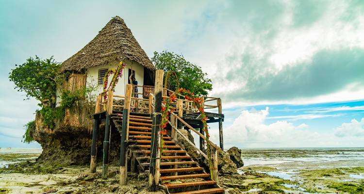 Le meilleur des vacances à Zanzibar - Pure African Expeditions 5