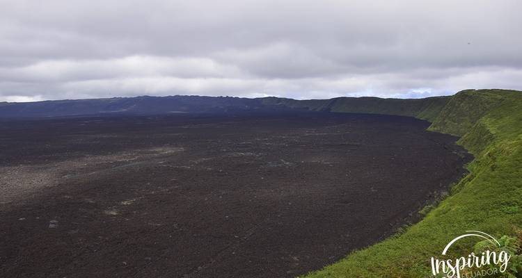 Weitläufige Vulkanlandschaft unter bewölktem Himmel.