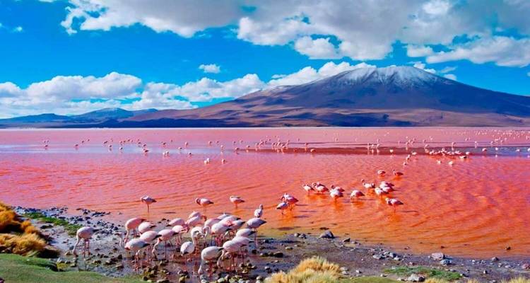 13 Días Perú y Bolivia: Tesoros Naturales Andinos - Responsible Travel South America 2