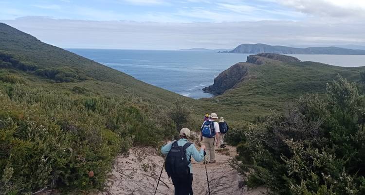 Trek sur l'île Bruny - Park Trek Walking Holidays 10