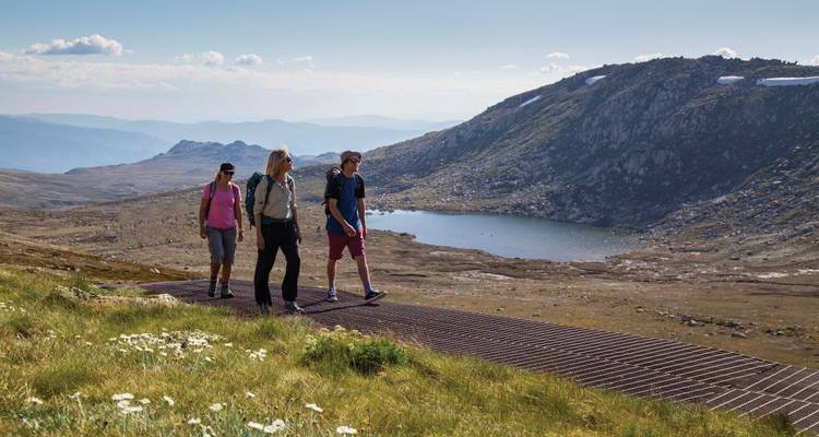 Snowy Mountains Hiking Tour - Park Trek Walking Holidays 4