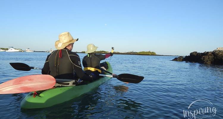 Two people kayaking on the water.