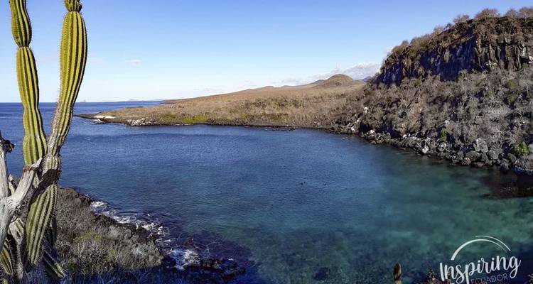 Coastal landscape with clear blue water and a rocky shore, featuring a cactus in the foreground.