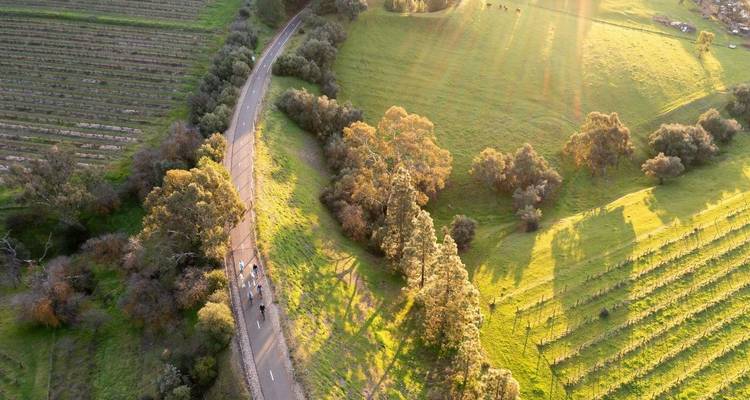Circuit de 7 jours en E- Bike pour découvrir la gastronomie et les vins d'Australie méridionale - Bike About Mountain Bike Tours and Hire  1