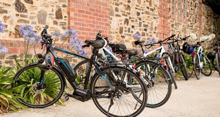 Circuit de 7 jours en E- Bike pour découvrir la gastronomie et les vins d'Australie méridionale - Bike About Mountain Bike Tours and Hire  7