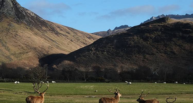 Écosse : Lochs et paysages - Blue-Roads Touring 6