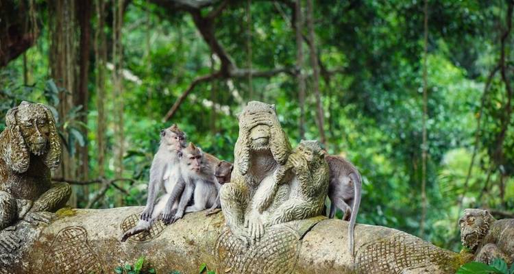 Explora Bali y la isla de Komodo - mytripology 4