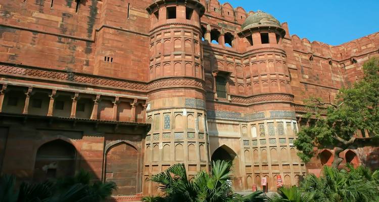 12 Days of Famous 4 Tiger Safari Tour  with Taj Mahal ALL INCLUSIVE) - Travel Con 3