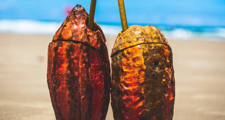 Islands, Hidden Beaches and the Cocoa Coast of Bahia - ETours Brazil DMC 8
