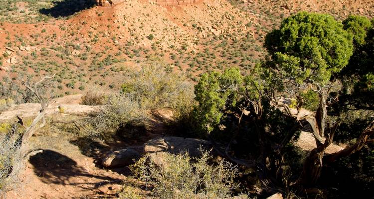 Les Canyons de l'Ouest colorés, avec les cinq parcs nationaux de l'Utah (de Denver, CO à Las Vegas, NV) (2024) - Collette 5
