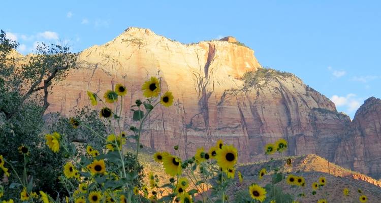 Les Canyons de l'Ouest colorés, avec les cinq parcs nationaux de l'Utah (de Denver, CO à Las Vegas, NV) (2024) - Collette 1