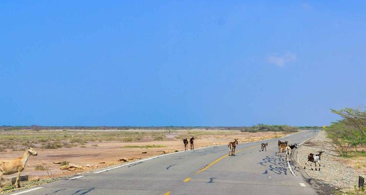 3 días la Guajira - BnB Colombia Tours 10