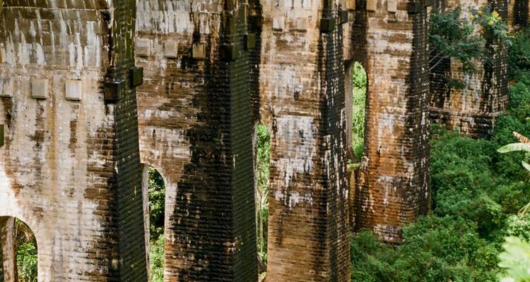 Explorer les trésors culturels et les merveilles naturelles en 5 jours - Apple Vacations Pvt Ltd 10