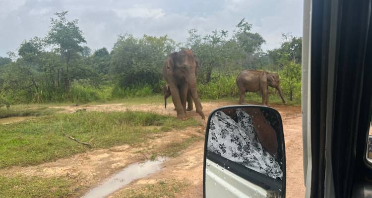 Encantadora Sri Lanka: historia, Paisaje, belleza y vida salvaje - Apple Vacations Pvt Ltd 3