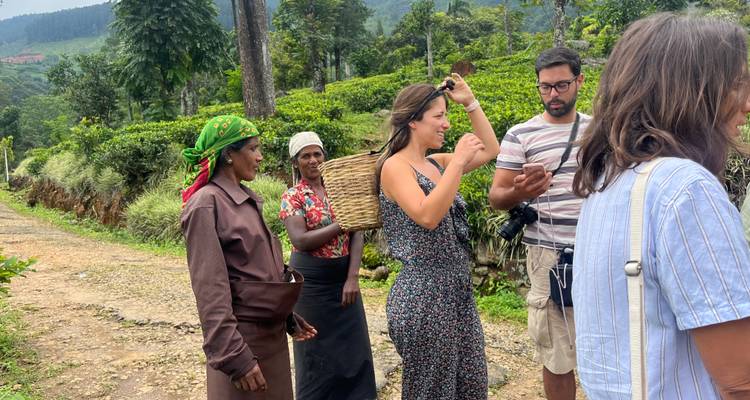 Encantadora Sri Lanka: historia, Paisaje, belleza y vida salvaje - Apple Vacations Pvt Ltd 6