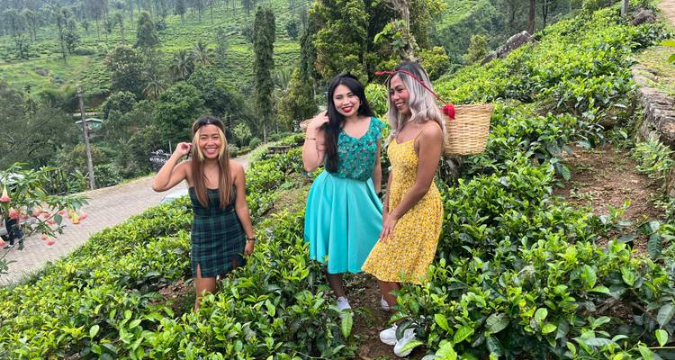 Encantadora Sri Lanka: historia, Paisaje, belleza y vida salvaje - Apple Vacations Pvt Ltd 10