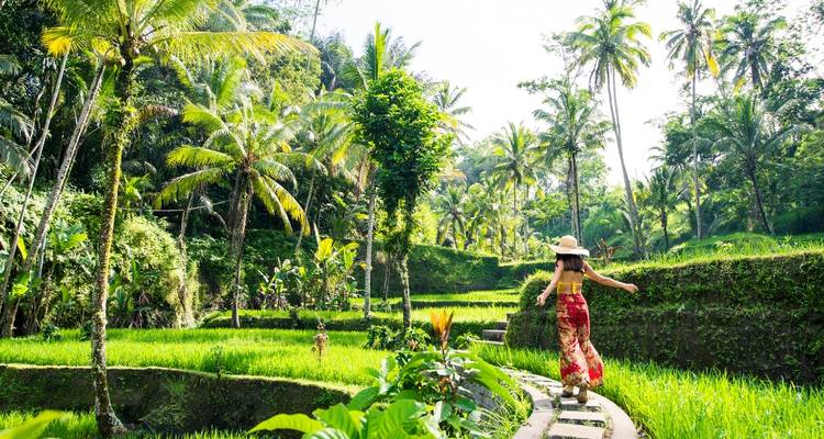 Woman walking along rice terraces surrounded by palm trees.