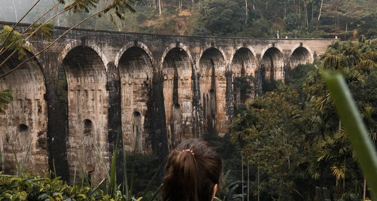 Desvelando el país de los sueños natural y cultural de Sri Lanka - Apple Vacations Pvt Ltd 8