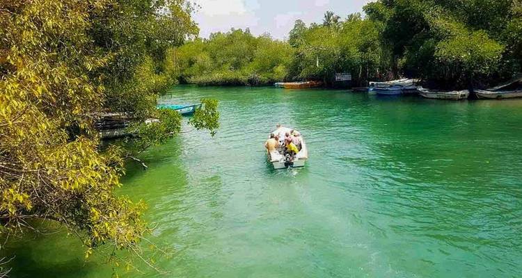 Desvelando el país de los sueños natural y cultural de Sri Lanka - Apple Vacations Pvt Ltd 3