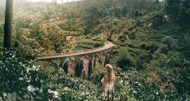 Les points forts du Sri Lanka à découvrir : 09 jours de voyage - Apple Vacations Pvt Ltd 10