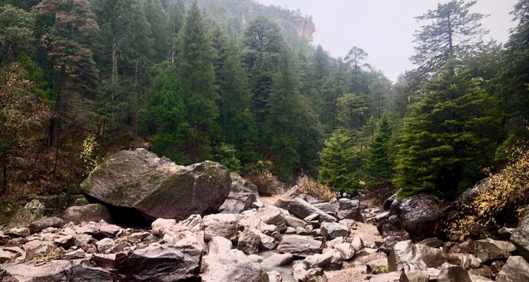 Las gargantas de cobre de México - Miller Reisen 2