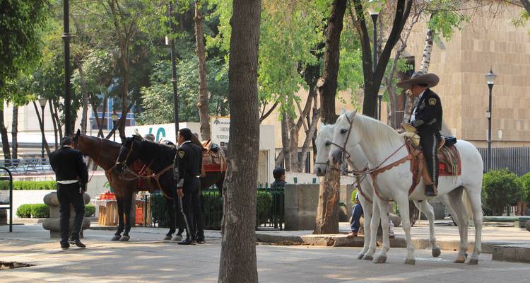 México Colonial De Lujo - EUROLATINO Tour Operators 6