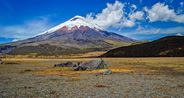 Ecuador Highlights - Miller Reisen 1