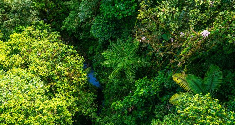 Le Costa Rica en vélo électrique - Miller Reisen 7