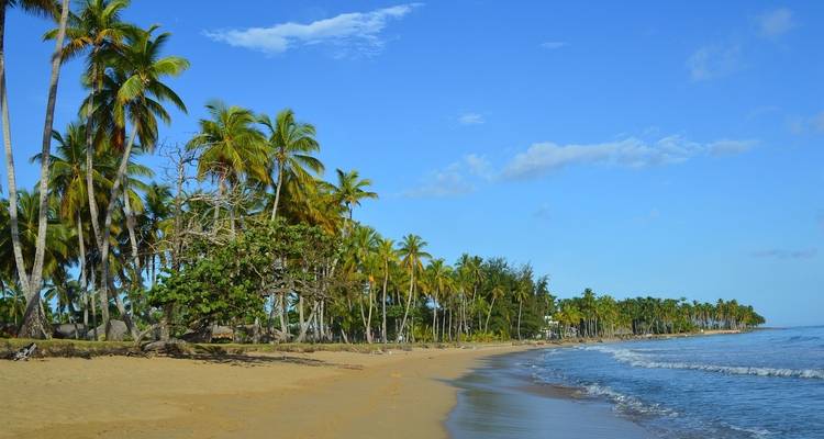 Points forts de la République dominicaine - Miller Reisen 4