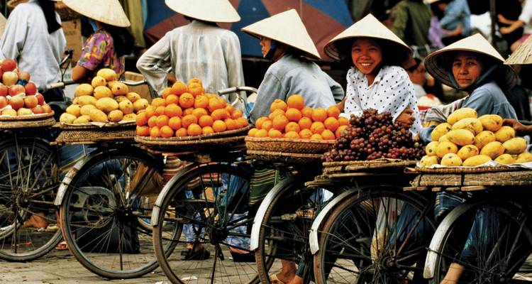 Best  of Vietnam Ten Day from Hanoi to Ho Chi Minh- Best Seller - Halong Tours Booking 4