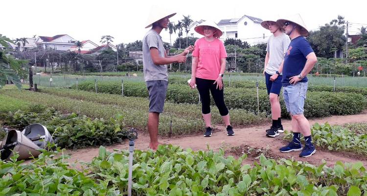 Vietnam - Cambodge 14 jours avec une escale dans deux pays - Excellent rapport qualité/prix - Halong Tours Booking 10