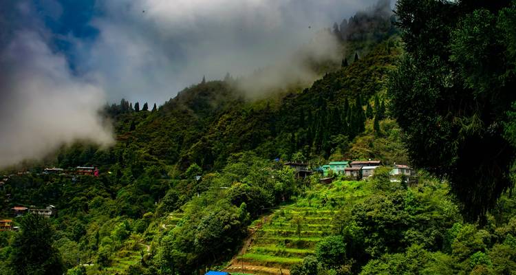 Circuit dans le nord- est de l'Inde avec le Bhoutan - GoBook India Tours 4