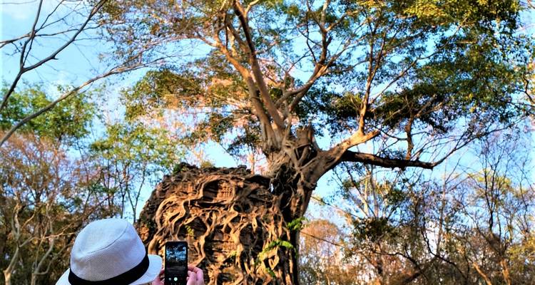Lo mejor de Camboya itinerario de 10 días circuito privado guiado - About Cambodia Travel & Tours 10