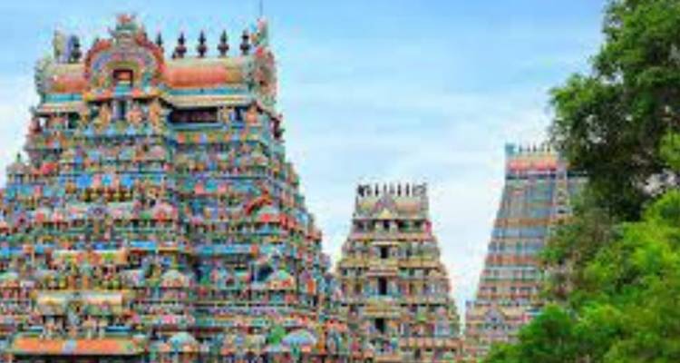 Explorando la riqueza cultural y la belleza natural del sur de la India - Vijay India Tours 3