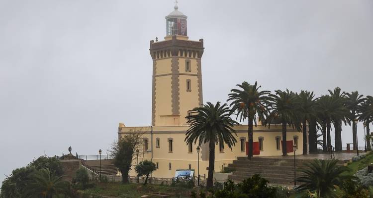 Phare entouré de palmiers par jour de brouillard.