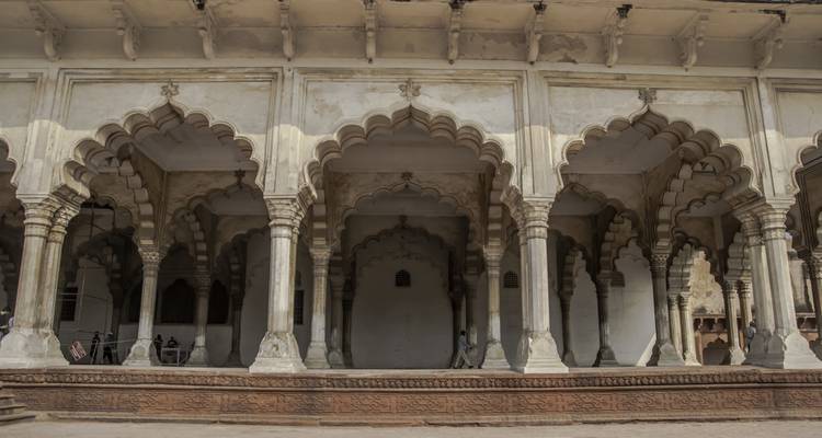 14 Days India Tiger Tour with Taj Mahal and Jim Corbett (ALL INCLUSIVE) - Travel Con 4