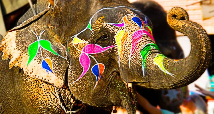 Circuito de 9 días por el triángulo de oro de la India con el majestuoso Ranthambore todo incluido - Travel Con 6