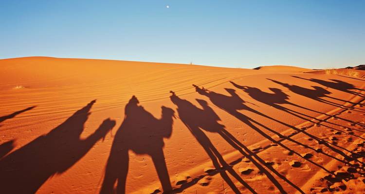 Circuito de 7 días de Tánger a Marrakech por Marruecos - Discover Morocco Tours 4
