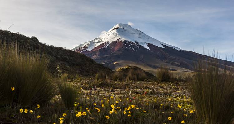 Ecuador's Andes & Amazon - Miller Reisen 1